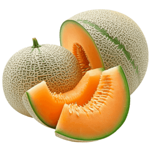 Cantaloupe
