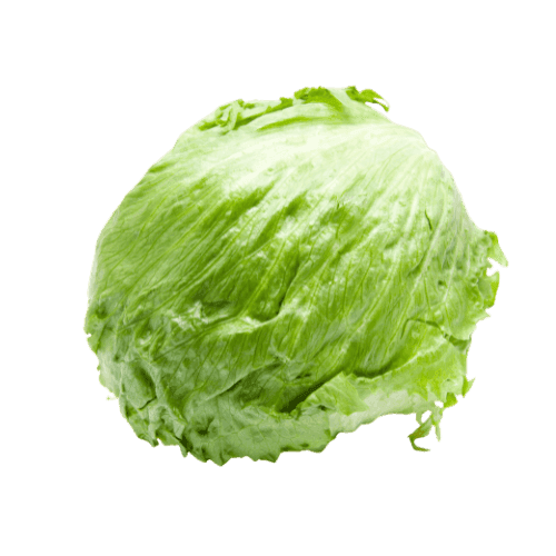 Iceberg Lettuce