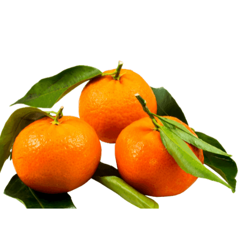 Mandarin Oranges